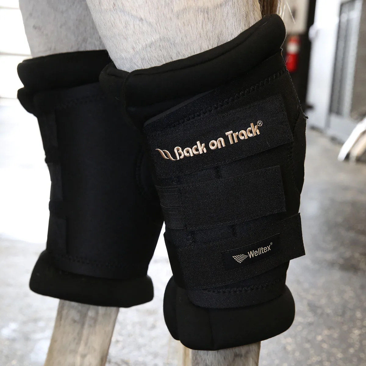 Back On Track Royal Deluxe Hock Boots