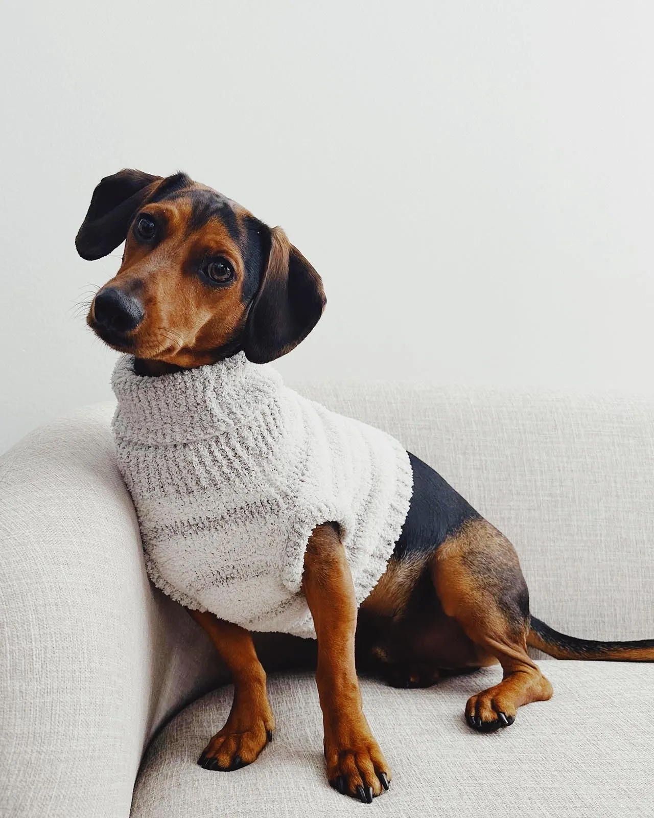 Fuzzy Pet Sweater