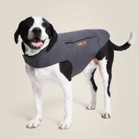 Rebar DuraCanvas Insulated Dog Jacket