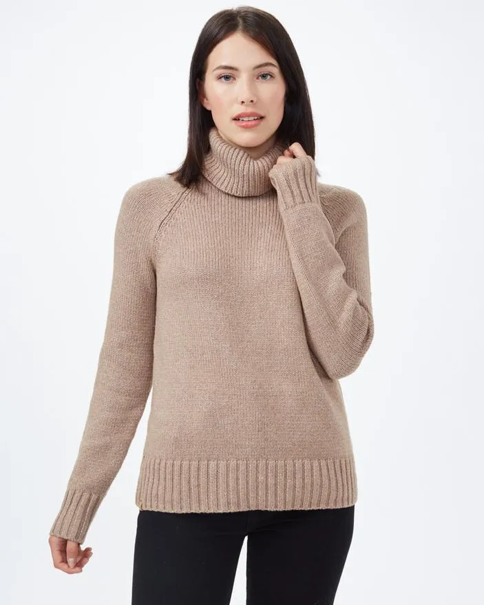 Tentree Highline Wool Turtleneck Sweater in Foxtrot Brown Heather